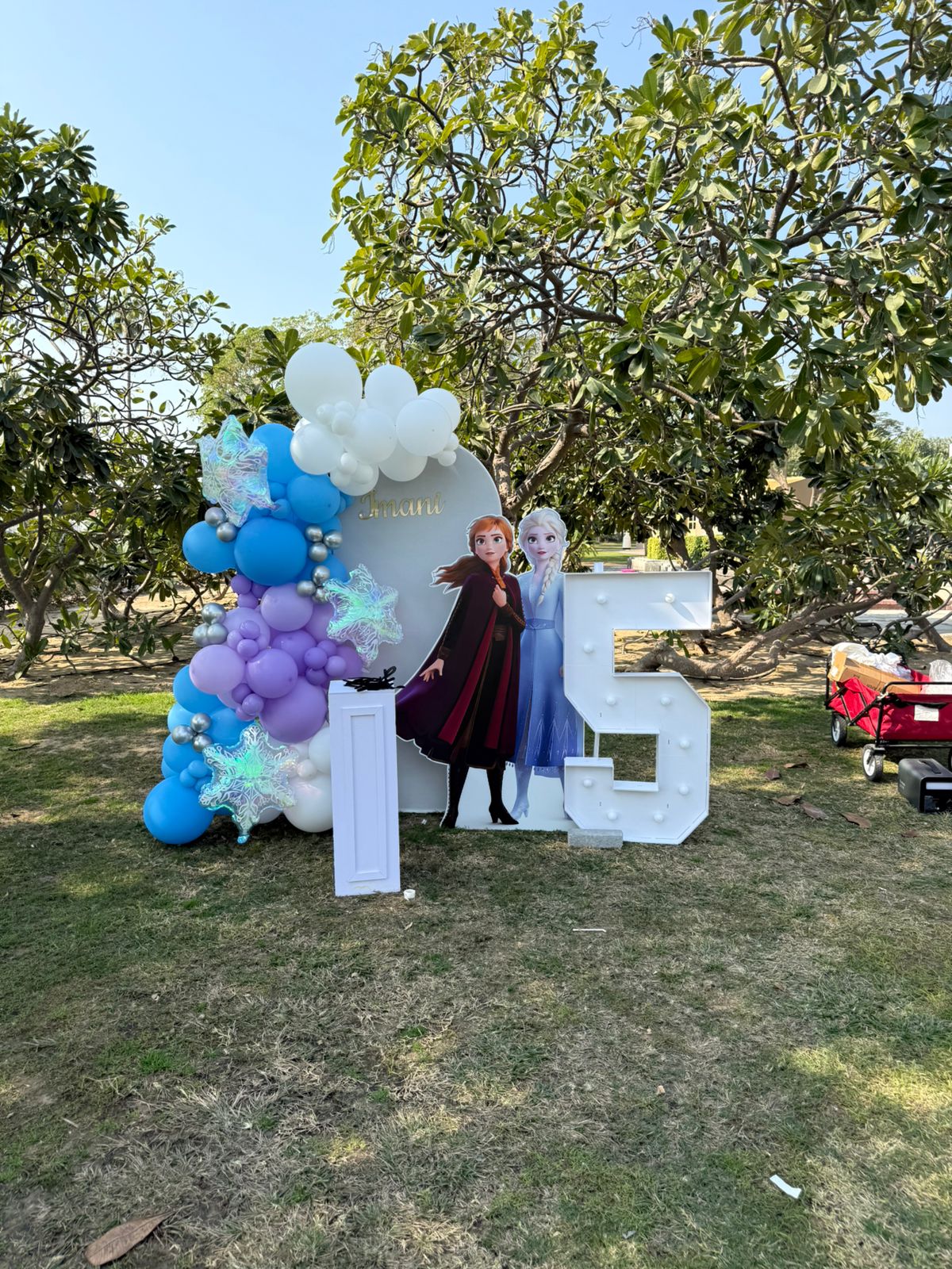 Birthday balloon display with characters