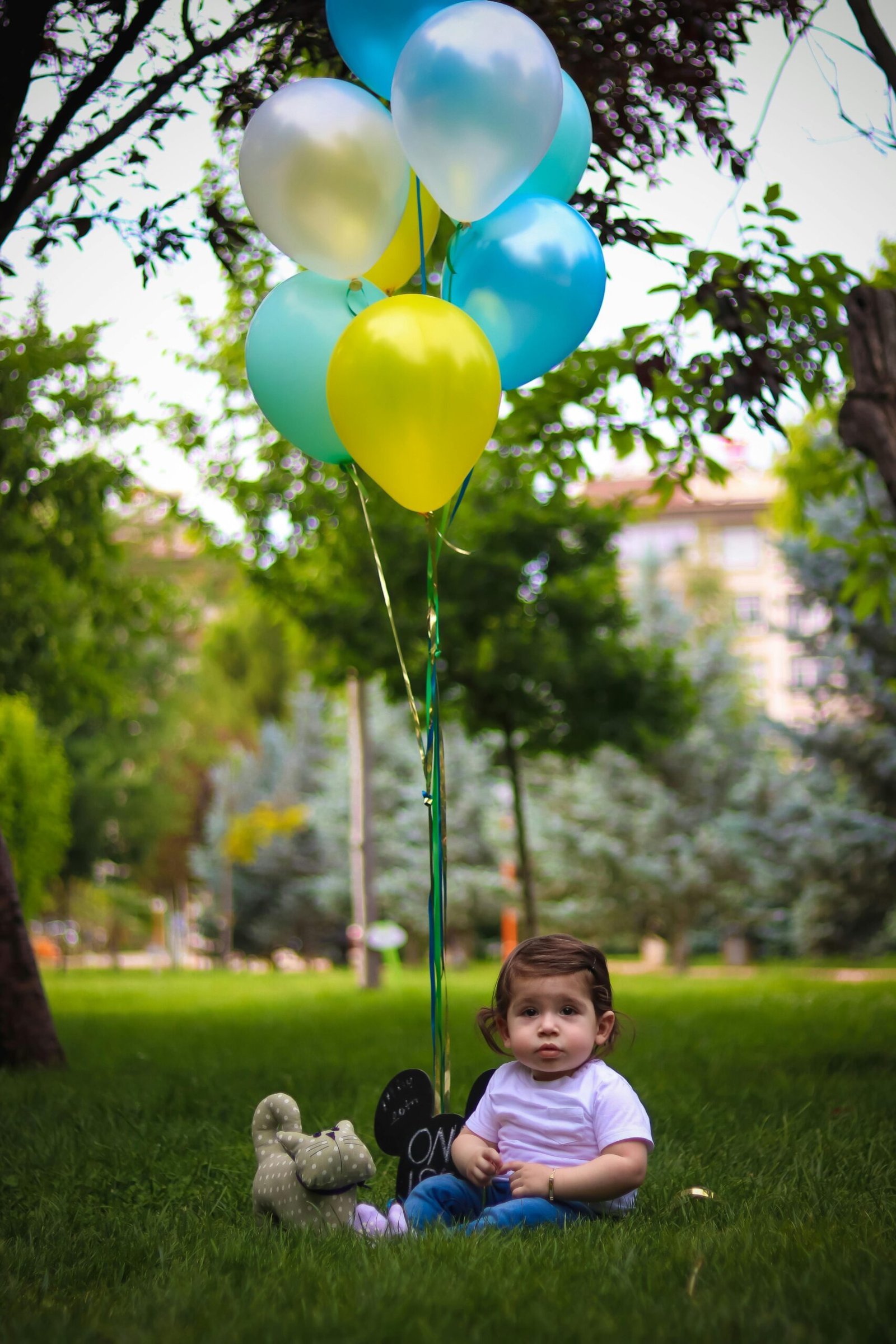 Balloon's Planet